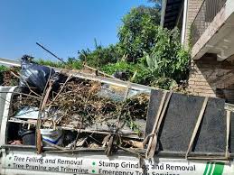Best Recycling Services for Junk  in Brookside, AL